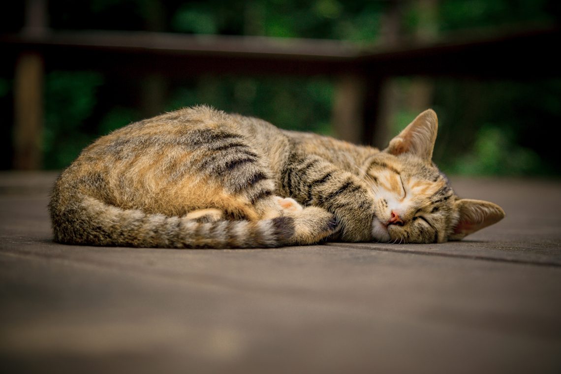 Vaincre l’insomnie